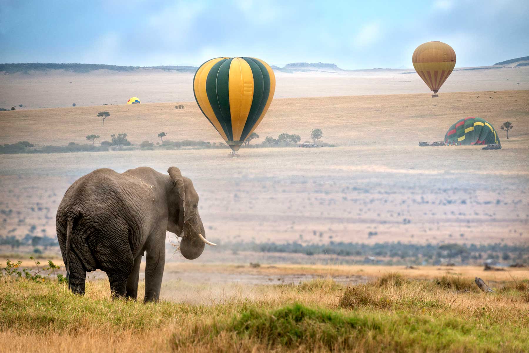 Balloon Safari